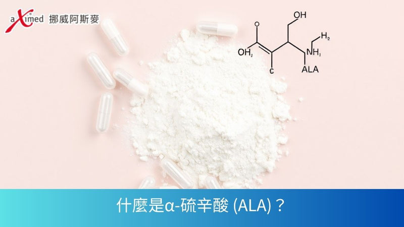 什麼是α-硫辛酸 (ALA)？全方位解析功效、食物與適用人群