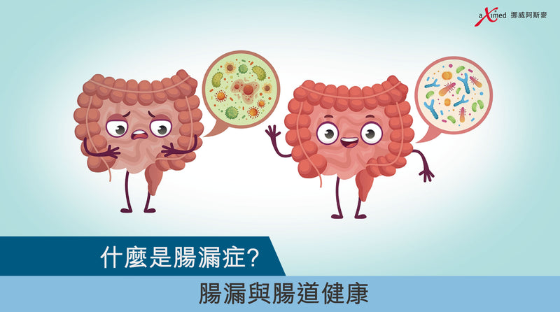 什麼是腸漏症？ 腸漏與腸道健康