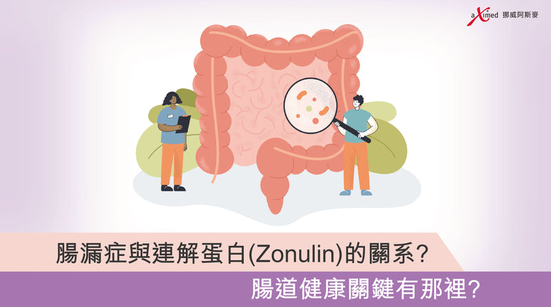 腸漏症與解連蛋白（Zonulin）的關系？ 腸道健康關鍵有那裡？
