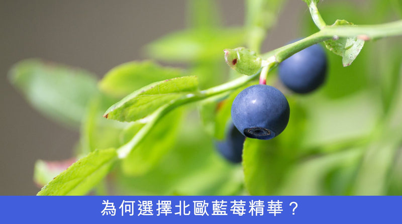 為何選擇北歐藍莓精華？, aXimed, 挪威阿斯麥, Cyana Bilberry Extract,