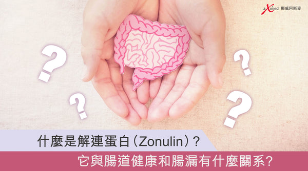 什麼是解連蛋白（Zonulin）？  它與腸道健康和腸漏有什麼關系？